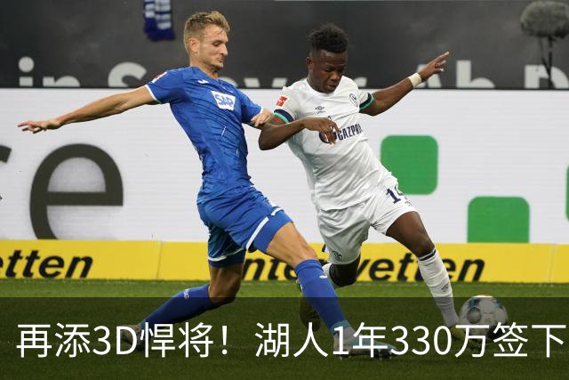 再添3D悍将！湖人1年330万签下塞布尔